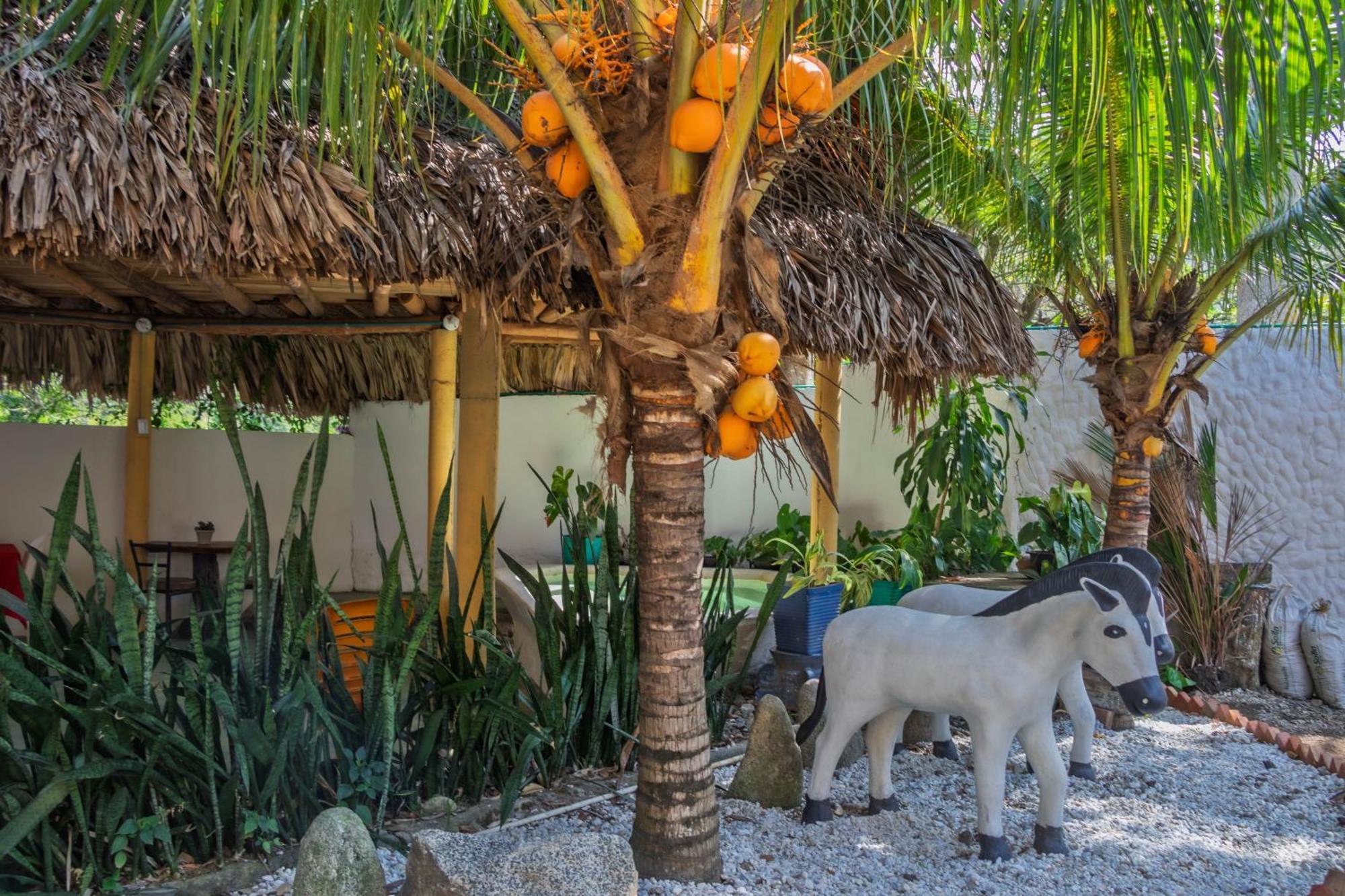 Hotel Manakin Tayrona エル・ザイノ エクステリア 写真